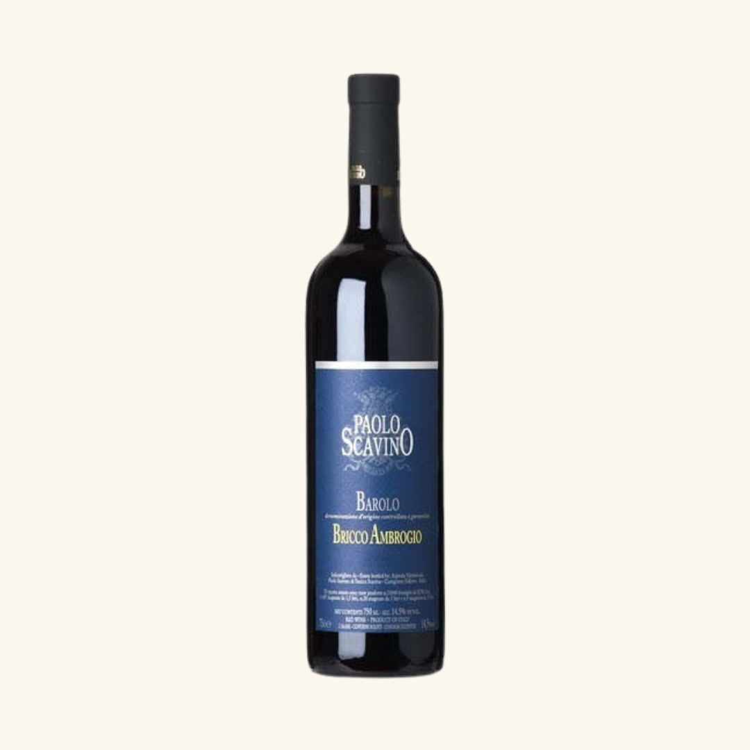 2004 Paolo Scavino Bricco Ambrogio