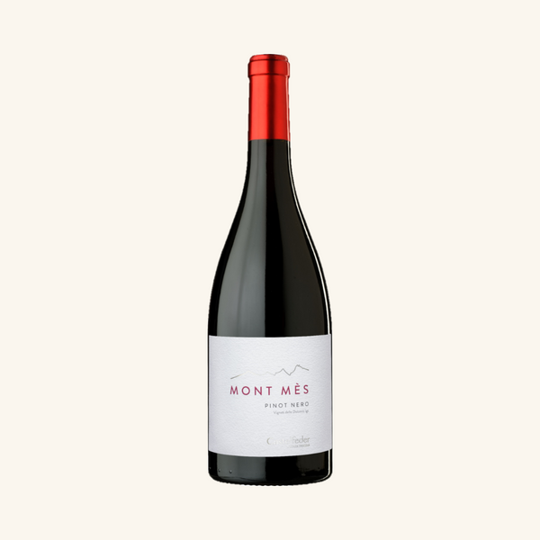 2021 Castelfeder Mont Mès Pinot Nero