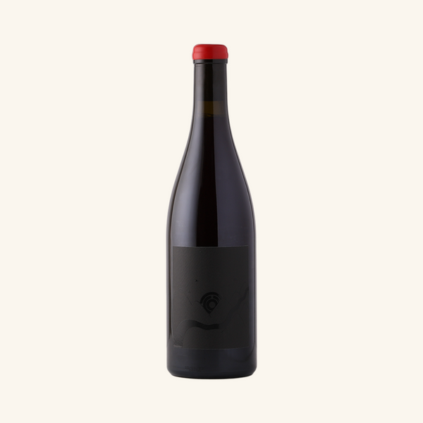 2022 Gentle Folk Father's Milk Pinot Gamay