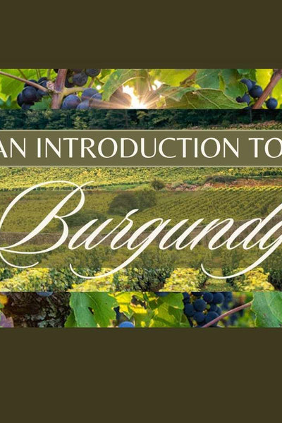 Masterclass Series: An Introduction to Burgundy - 6:30pm at Bocca Italian Private Dining Room