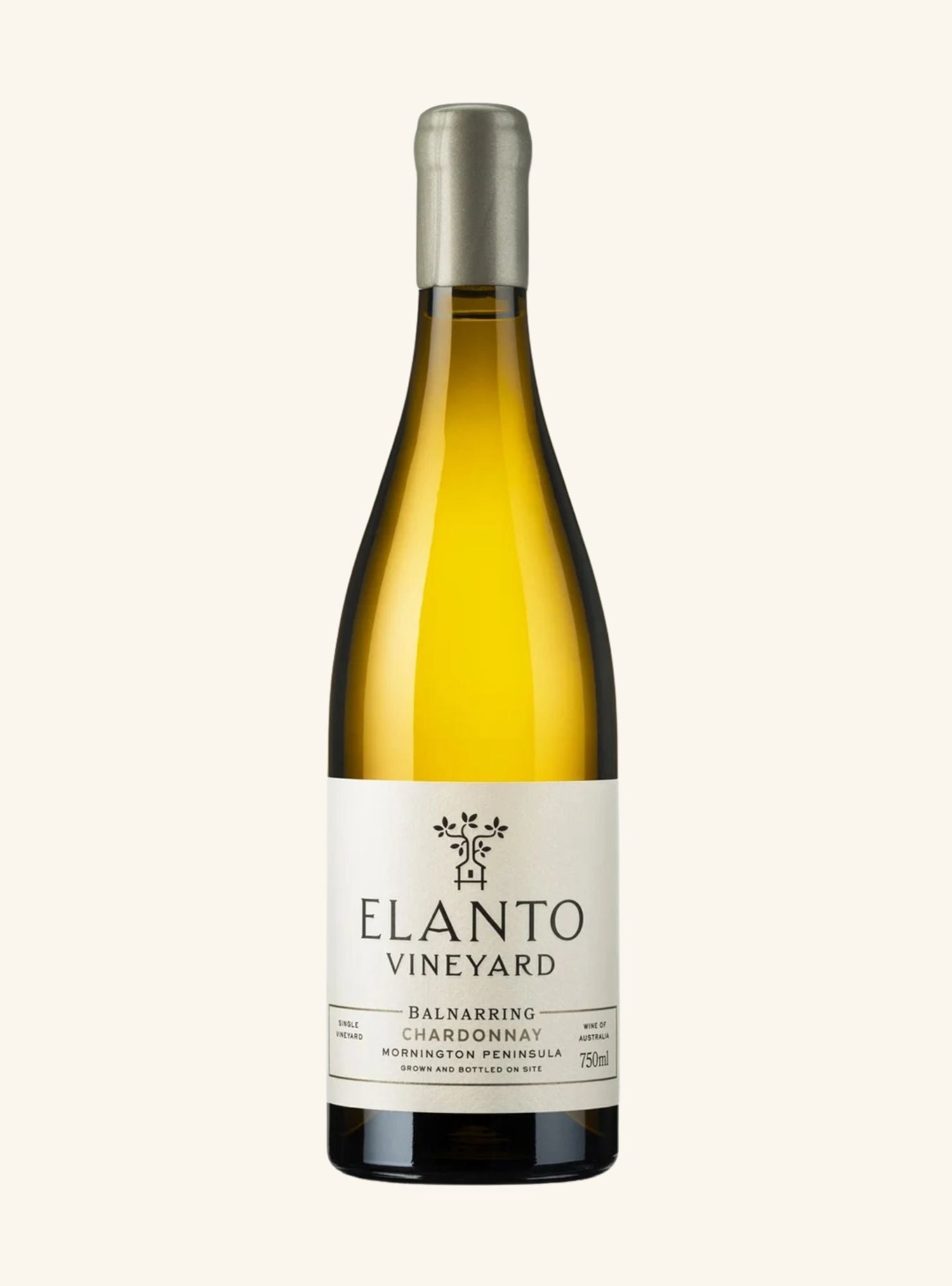 Elanto_Chardonnay_2023_MARKET_WINE_STORE