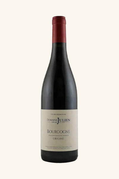 Domaine Julien Bourgogne Origine Pinot Noir  2022