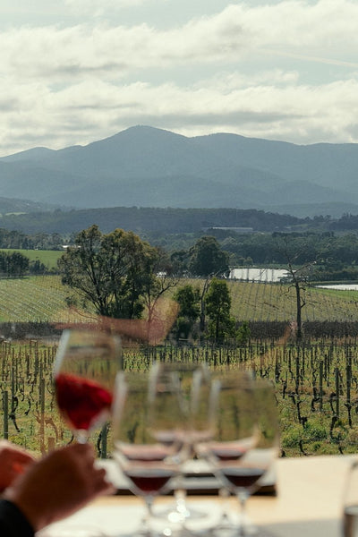 Yarra Yering Wine Dinner — An Exclusive Evening with Sarah Crowe