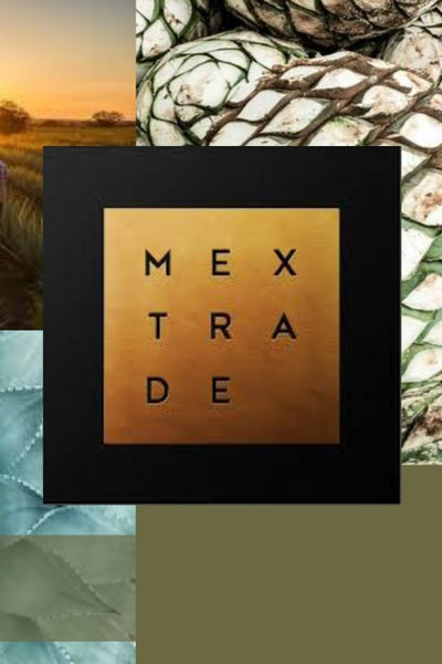 Masterclass Series - Mezcal & Tequila with Mextrade - 5pm at Market Bistro