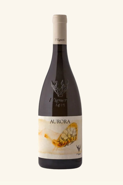 Salvo Foti Aurora 2024