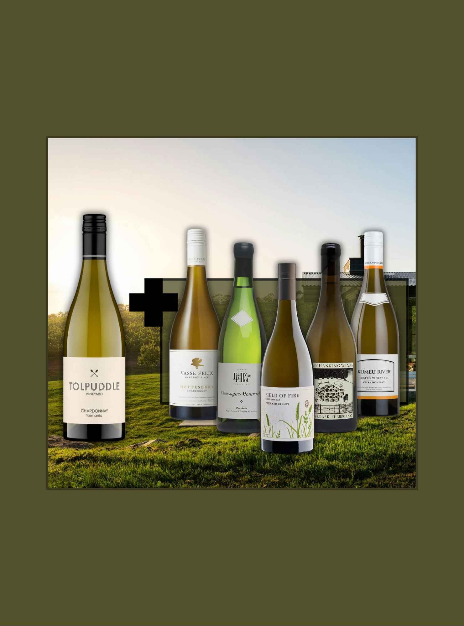 Collection of wine bottles with labels in front of a scenic background