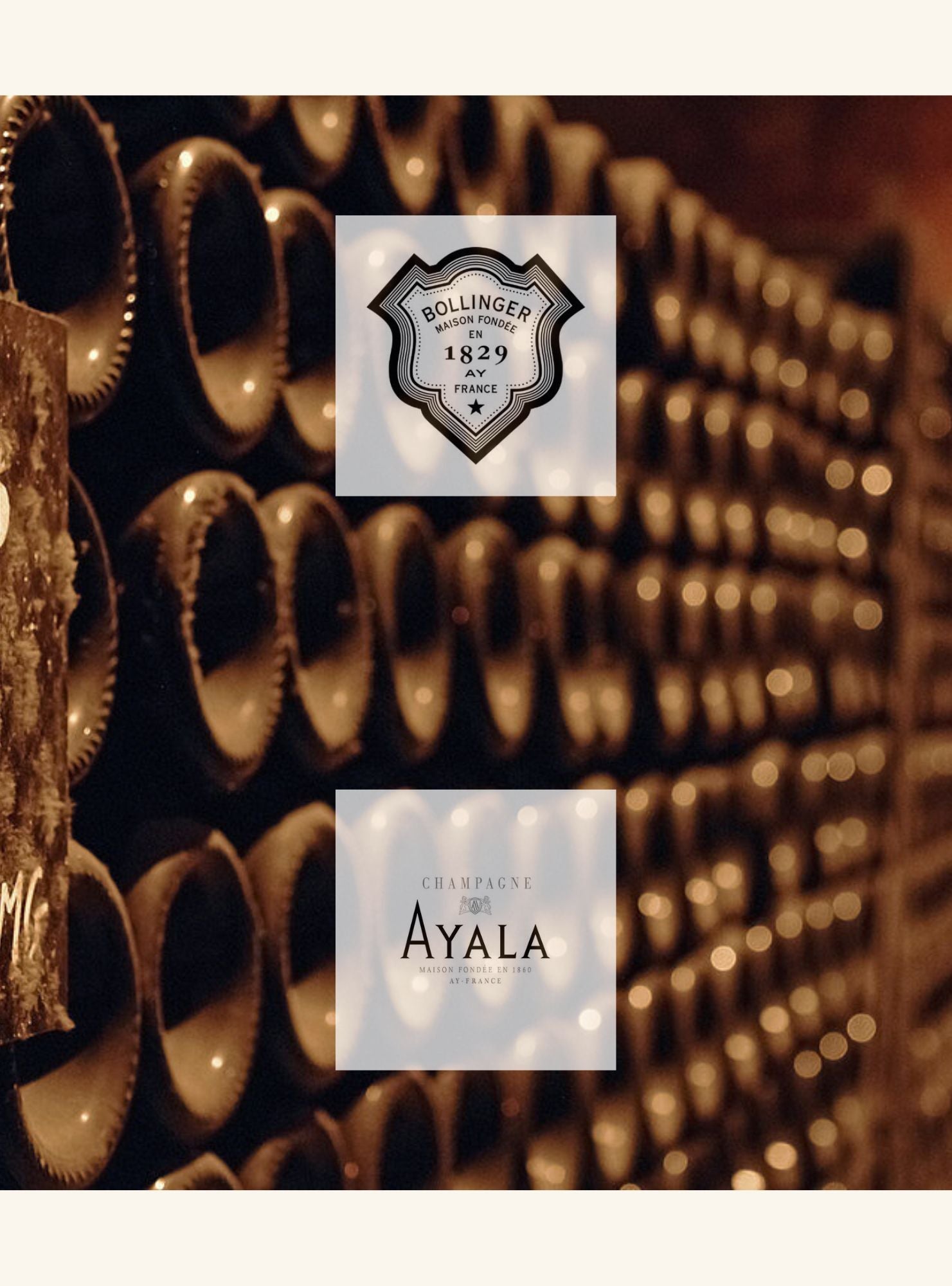 bollinger_ayala__champagne_masterclass_market_wine_store