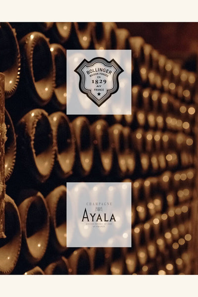 Masterclass Series - Champagne Bollinger + Champagne Ayala - 5pm at Bocca Italian