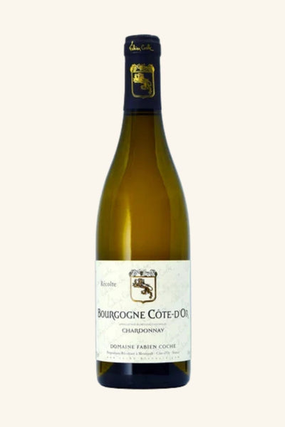 Domaine Fabien Coche Bourgogne Blanc