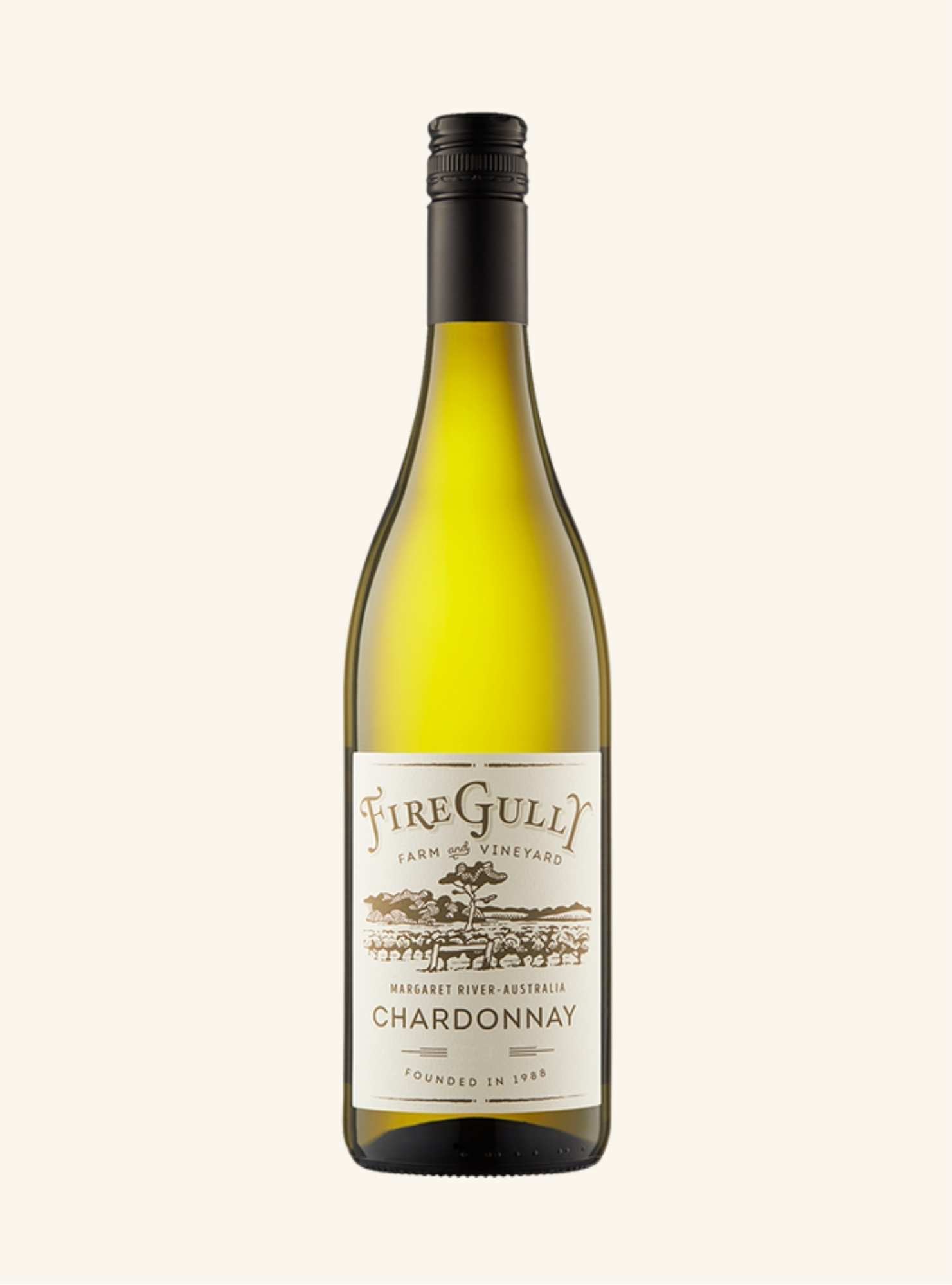Wine bottle of Fire Gull Chardonnay on a white background