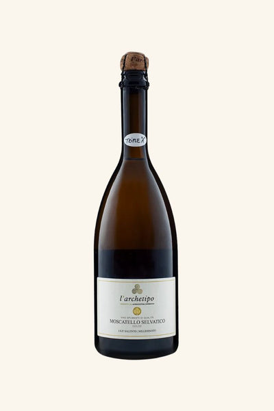L'archetipo Moscatello Selvatico  2024