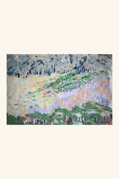 Mulline Potarlington Pinot Noir