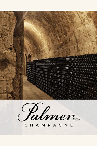 Masterclass Series - Champagne Palmer & Co. - 5pm at Bocca Italian