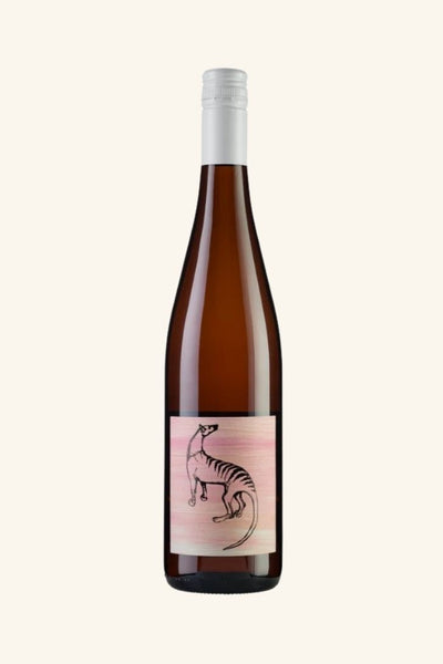 Small Island All Day Rose 2025
